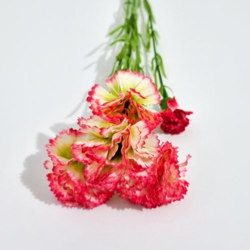 Ramo Flor Clavel Rosado/Amarillo