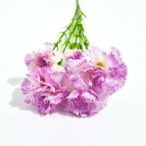 Ramo X 2 Flores Clavel Lila