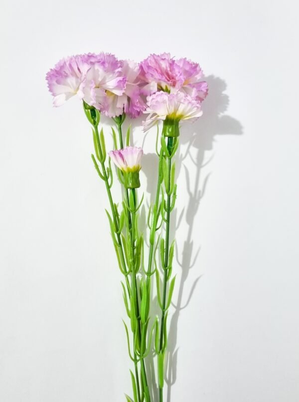 Ramo X 2 Flores Clavel Lila - Imagen 2