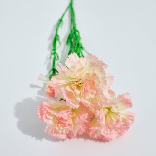 Ramo X 2 Flores Clavel Blanco/Rosado