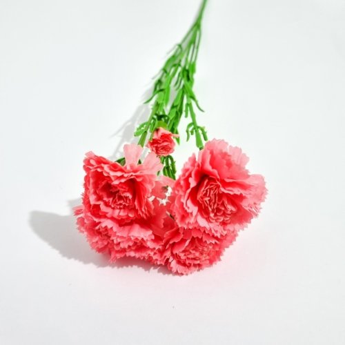 Ramo X 2 Flor Clavel Rosado