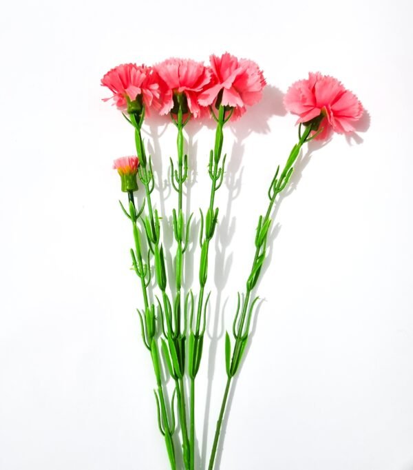 Ramo X 2 Flor Clavel Rosado - Imagen 2