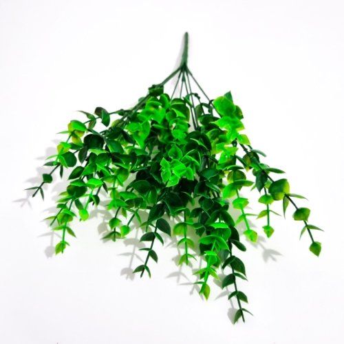 Tallo Eucalipto Verde