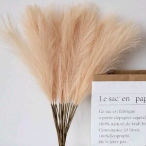Ramo Tallo Beige Pampas Setx5